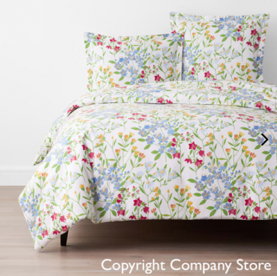 Screen Shot 2022-05-23 at 11.34.22 company store