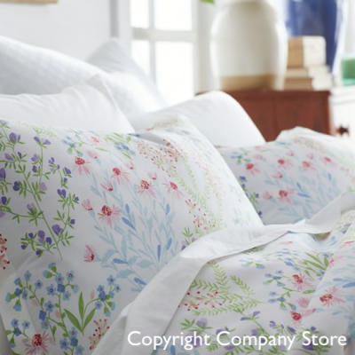 Screen Shot 2022-05-23 at 11.35.50 company store